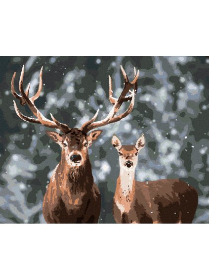 Diamantové maľovanie - UŠĽACHTILÝ JELEŇ A LAŇ V ZASNEŽENOM LESE (Rámovanie bez rámu a bez vypnutia plátna, Rozmer 40x50 cm)