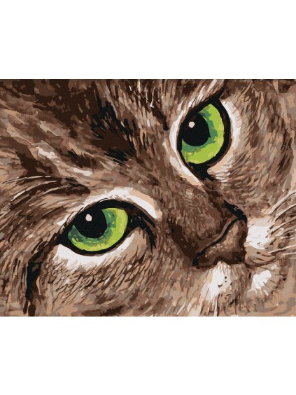 Diamantové maľovanie - MAČKA A ZELENÉ OČI (Rámovanie bez rámu a bez vypnutia plátna, Rozmer 40x50 cm)