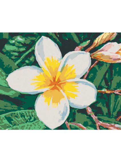 Diamantové maľovanie - HAVAJSKÁ KVETINA (Rámovanie bez rámu a bez vypnutia plátna, Rozmer 40x50 cm)