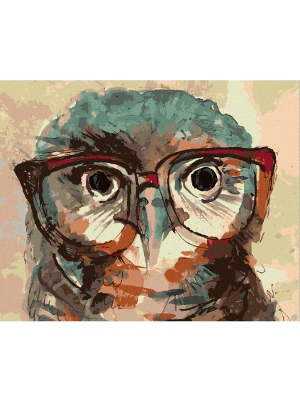 Diamantové maľovanie - SOVA S OKULIARMI (Rámovanie bez rámu a bez vypnutia plátna, Rozmer 40x50 cm)