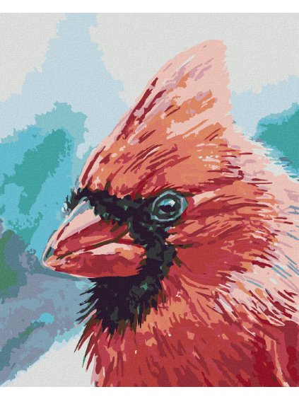 Diamantové maľovanie - VTÁK KARDINÁL (Rámovanie bez rámu a bez vypnutia plátna, Rozmer 40x50 cm)