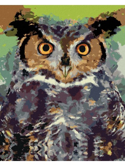 Diamantové maľovanie - FAREBNÁ SOVA II (Rámovanie bez rámu a bez vypnutia plátna, Rozmer 40x50 cm)