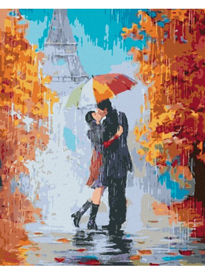Diamantové maľovanie - PUSA V DAŽDI V PARÍŽI (Rámovanie bez rámu a bez vypnutia plátna, Rozmer 40x50 cm)