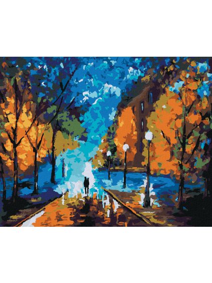 Diamantové maľovanie - PRECHÁDZKA NESKORO V NOCI (Rámovanie bez rámu a bez vypnutia plátna, Rozmer 40x50 cm)