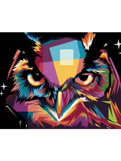 Diamantové maľovanie - PORTRÉT FAREBNÁ SOVA (Rámovanie bez rámu a bez vypnutia plátna, Rozmer 40x50 cm)