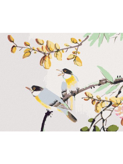 Diamantové maľovanie - VTÁČIKY NA STROME ČÍNA (Rámovanie bez rámu a bez vypnutia plátna, Rozmer 40x50 cm)