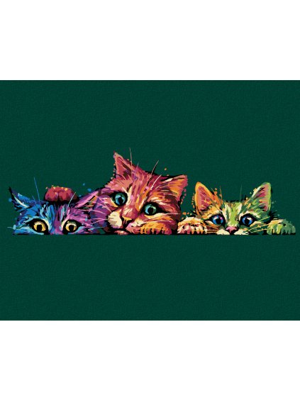 Diamantové maľovanie - FAREBNÉ MAČKY (Rámovanie bez rámu a bez vypnutia plátna, Rozmer 40x50 cm)