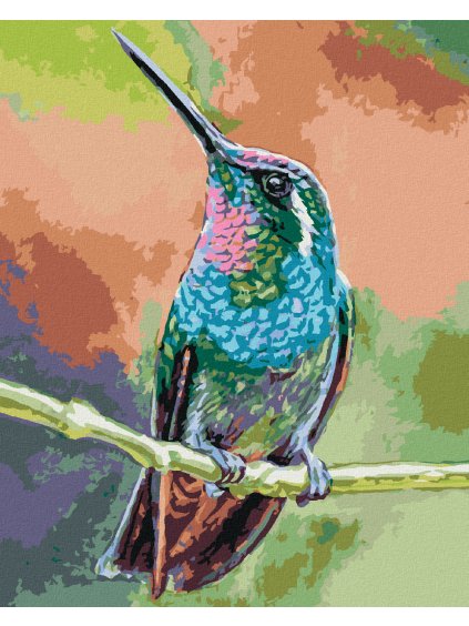 Diamantové maľovanie - KOLIBRÍK NA KONÁRI (Rámovanie bez rámu a bez vypnutia plátna, Rozmer 40x50 cm)