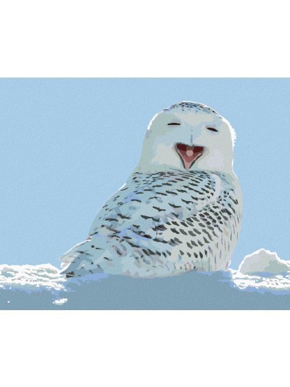 Diamantové maľovanie - ZÍVAJÚCA BIELA SOVA (Rámovanie bez rámu a bez vypnutia plátna, Rozmer 40x50 cm)