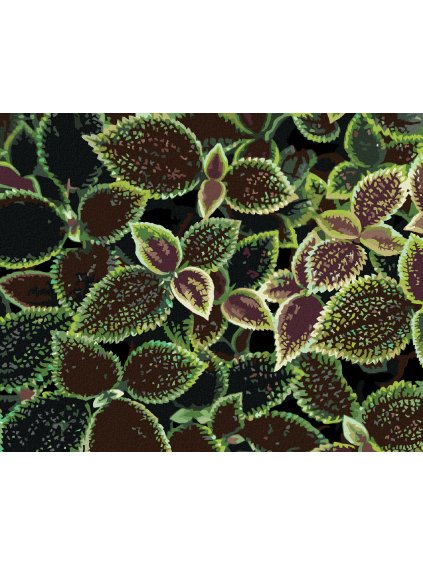 Diamantové maľovanie - ZELENO-ČERVENÉ LISTY (Rámovanie bez rámu a bez vypnutia plátna, Rozmer 40x50 cm)