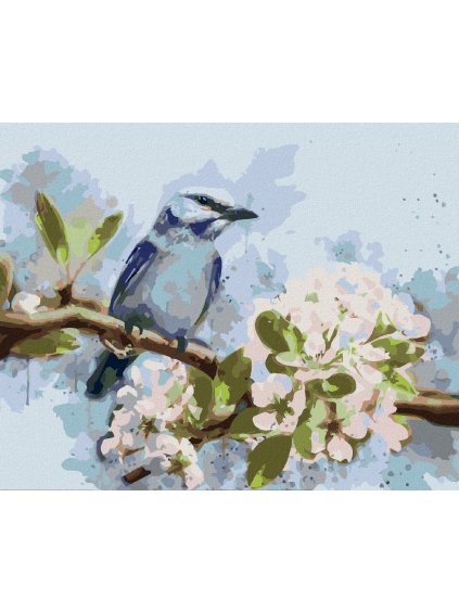 Diamantové maľovanie - MODRÝ VTÁK NA ROZKVITNUTEJ ČEREŠNI (Rámovanie bez rámu a bez vypnutia plátna, Rozmer 40x50 cm)