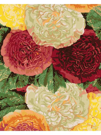Diamantové maľovanie - PESTRÉ PIVÓNIE (Rámovanie bez rámu a bez vypnutia plátna, Rozmer 40x50 cm)