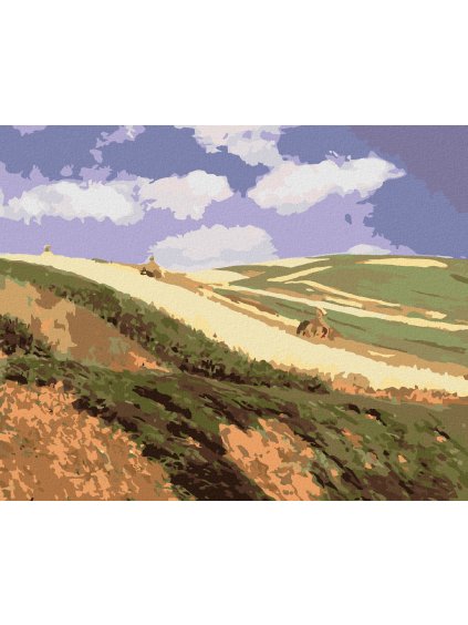 Diamantové maľovanie - POLE (PÁL SZINYEI MERSE) (Rámovanie bez rámu a bez vypnutia plátna, Rozmer 40x50 cm)