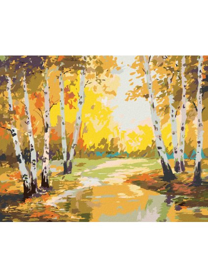 Diamantové maľovanie - BREZY A POTOČIK (Rámovanie bez rámu a bez vypnutia plátna, Rozmer 40x50 cm)