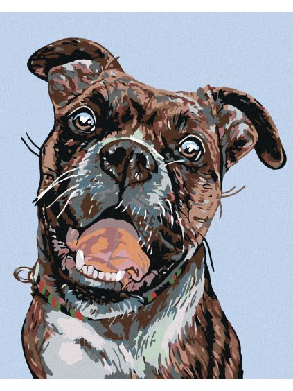 Diamantové maľovanie - STARÝ TRHÁČ (Rámovanie bez rámu a bez vypnutia plátna, Rozmer 40x50 cm)