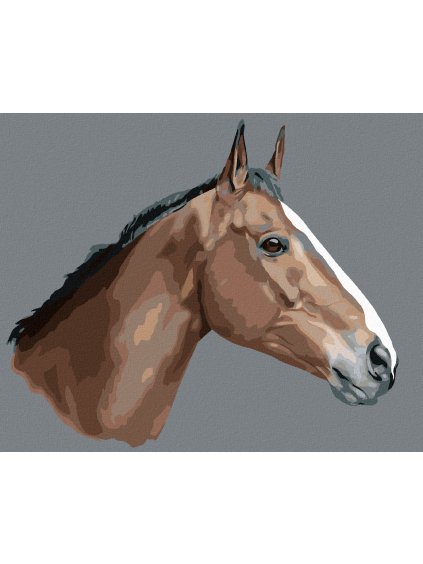 Diamantové maľovanie - HNEDÝ KÔŇ NA ŠEDOM POZADÍ (Rámovanie bez rámu a bez vypnutia plátna, Rozmer 40x50 cm)