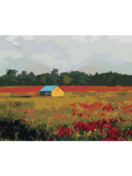 Diamantové maľovanie - DOMČEK A VLČIE MAKY (Rámovanie bez rámu a bez vypnutia plátna, Rozmer 40x50 cm)