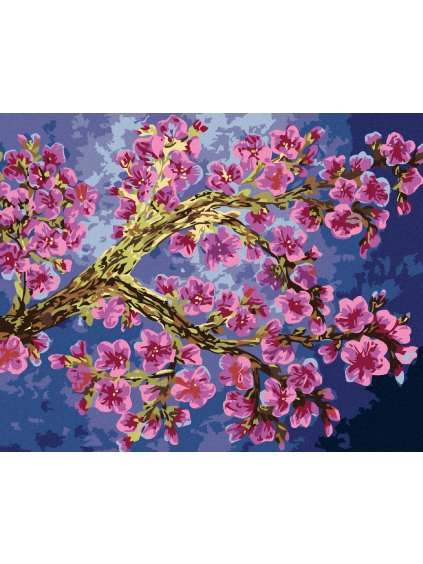 Diamantové maľovanie - KVITNÚCI KONÁR SAKURY (Rámovanie bez rámu a bez vypnutia plátna, Rozmer 40x50 cm)