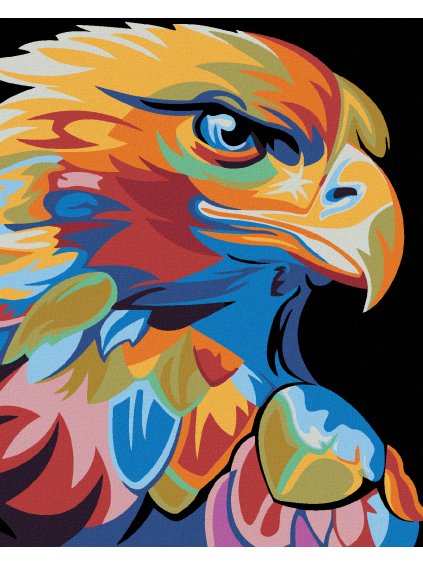 Diamantové maľovanie - FAREBNÝ OROL (Rámovanie bez rámu a bez vypnutia plátna, Rozmer 40x50 cm)