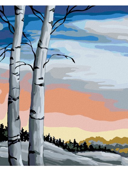 Diamantové maľovanie - BREZY (Rámovanie bez rámu a bez vypnutia plátna, Rozmer 40x50 cm)