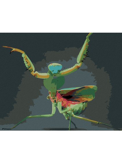 Diamantové maľovanie - MODLIVKA ZELENÁ (Rámovanie bez rámu a bez vypnutia plátna, Rozmer 40x50 cm)