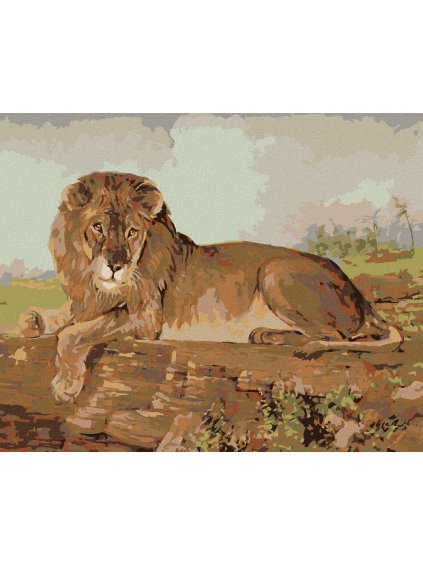 Diamantové maľovanie - LEV NA SAVANE (Rámovanie bez rámu a bez vypnutia plátna, Rozmer 40x50 cm)