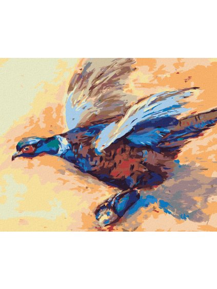 Diamantové maľovanie - FAREBNÝ BAŽANT (Rámovanie bez rámu a bez vypnutia plátna, Rozmer 40x50 cm)