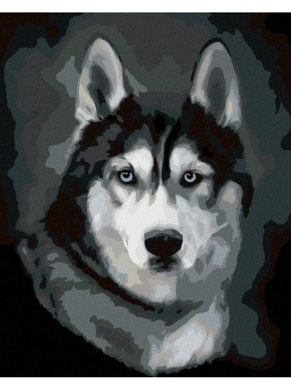 Diamantové maľovanie - HUSKY PORTRÉT (Rámovanie bez rámu a bez vypnutia plátna, Rozmer 40x50 cm)