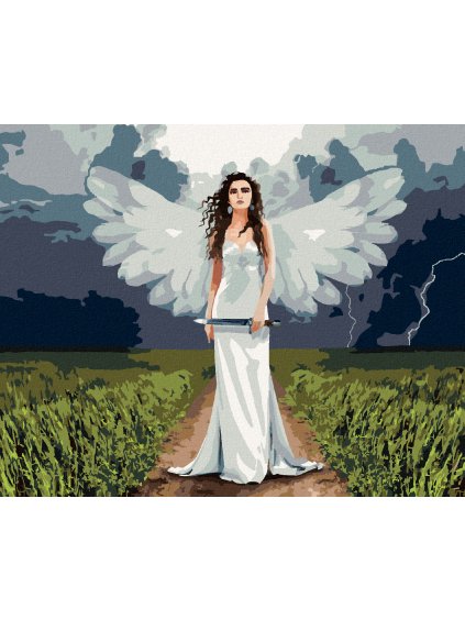 Diamantové maľovanie - ANJELSKÁ ŽENA A BÚRKA (Rámovanie bez rámu a bez vypnutia plátna, Rozmer 40x50 cm)