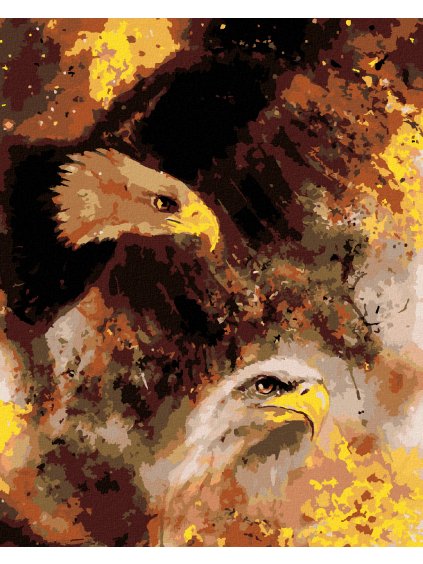 Diamantové maľovanie - DVA ORLY V KOZMICKOM PRIESTORE (Rámovanie bez rámu a bez vypnutia plátna, Rozmer 40x50 cm)