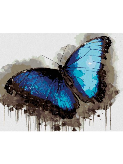 Diamantové maľovanie - MODROČIERNY MOTÝĽ (Rámovanie bez rámu a bez vypnutia plátna, Rozmer 40x50 cm)