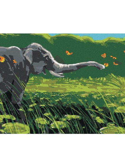 Diamantové maľovanie - SLON A MOTÝLI (Rámovanie bez rámu a bez vypnutia plátna, Rozmer 40x50 cm)