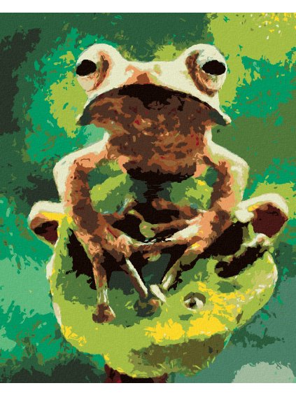Diamantové maľovanie - ŽABA V LESE (Rámovanie bez rámu a bez vypnutia plátna, Rozmer 40x50 cm)