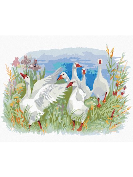 Diamantové maľovanie - HUSY NA FARME (Rámovanie bez rámu a bez vypnutia plátna, Rozmer 40x50 cm)