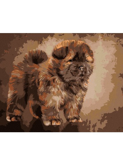 Diamantové maľovanie - ŠTENIATKO CHOW CHOW (Rámovanie bez rámu a bez vypnutia plátna, Rozmer 40x50 cm)