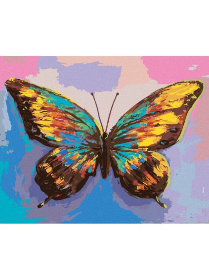 Diamantové maľovanie - PREKRÁSNY FAREBNÝ MOTÝĽ (Rámovanie bez rámu a bez vypnutia plátna, Rozmer 40x50 cm)