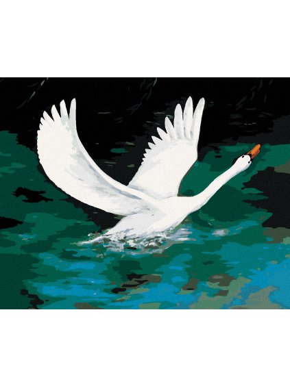 Diamantové maľovanie - BIELA LABUŤ NA ČIERNOM JAZERE (Rámovanie bez rámu a bez vypnutia plátna, Rozmer 40x50 cm)