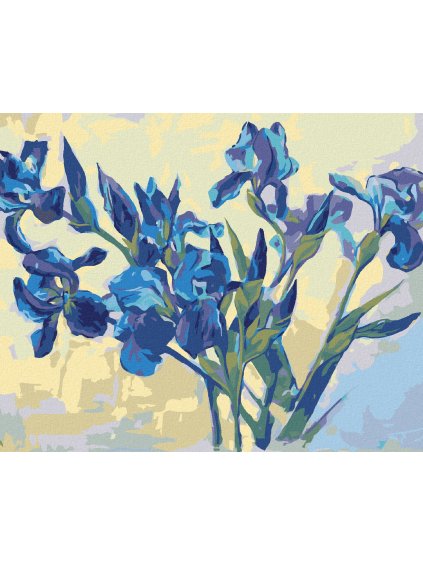 Diamantové maľovanie - KOSATCE NA SVETLOM POZADIÍ (Rámovanie bez rámu a bez vypnutia plátna, Rozmer 40x50 cm)