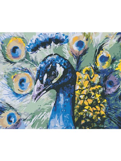 Diamantové maľovanie - PÁV (Rámovanie bez rámu a bez vypnutia plátna, Rozmer 40x50 cm)