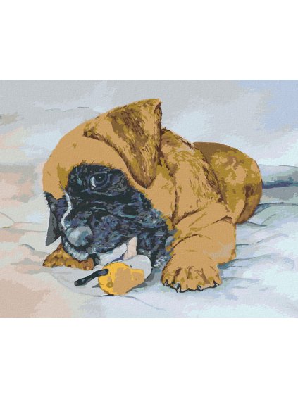 Diamantové maľovanie - ŠTEŇA NEMECKÉHO BOXERA (Rámovanie bez rámu a bez vypnutia plátna, Rozmer 40x50 cm)