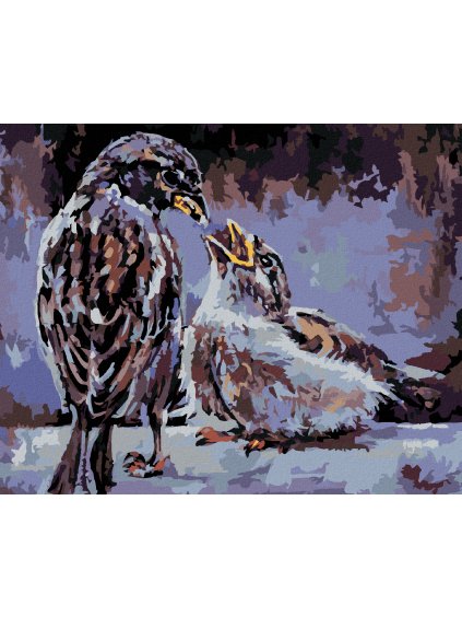 Diamantové maľovanie - KŔMENIE VTÁČIKOV (Rámovanie bez rámu a bez vypnutia plátna, Rozmer 40x50 cm)