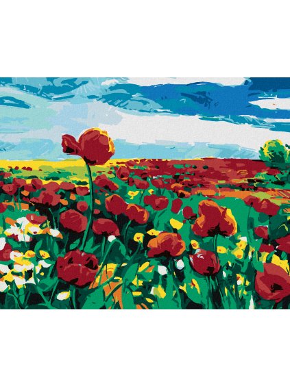 Diamantové maľovanie - VLČÍ MAK NA POLI (Rámovanie bez rámu a bez vypnutia plátna, Rozmer 40x50 cm)