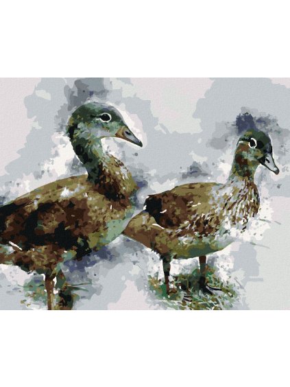 Diamantové maľovanie - MLADÉ KAČKY (Rámovanie bez rámu a bez vypnutia plátna, Rozmer 40x50 cm)