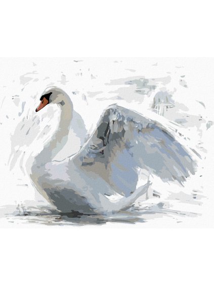 Diamantové maľovanie - BIELA LABUŤ (Rámovanie bez rámu a bez vypnutia plátna, Rozmer 40x50 cm)
