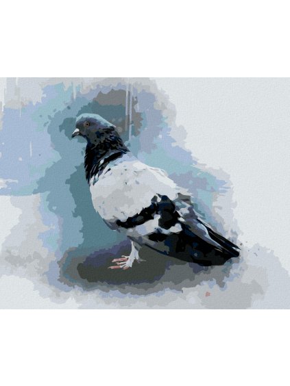 Diamantové maľovanie - HOLUB (Rámovanie bez rámu a bez vypnutia plátna, Rozmer 40x50 cm)