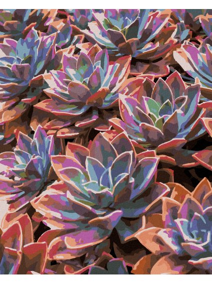 Diamantové maľovanie - FAREBNÉ PUPOVICE (Rámovanie bez rámu a bez vypnutia plátna, Rozmer 40x50 cm)