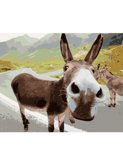 Diamantové maľovanie - OSOL NA CESTE (Rámovanie bez rámu a bez vypnutia plátna, Rozmer 40x50 cm)