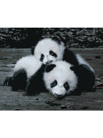 Diamantové maľovanie - PANDY V ZOO (Rámovanie bez rámu a bez vypnutia plátna, Rozmer 40x50 cm)