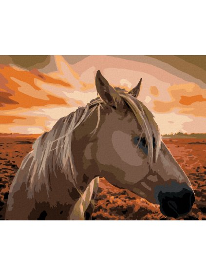 Diamantové maľovanie - KÔŇ PRI ZÁPADE SLNKA (Rámovanie bez rámu a bez vypnutia plátna, Rozmer 40x50 cm)