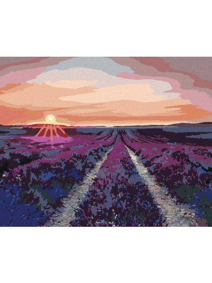Diamantové maľovanie - LEVANDUĽOVÉ POLE A ZÁPAD SLNKA (Rámovanie bez rámu a bez vypnutia plátna, Rozmer 40x50 cm)